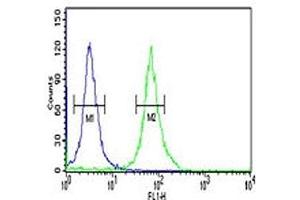 Flow Cytometry (FACS) image for anti-Pyruvate Kinase M2 (PKM2) (AA 116-145) antibody (ABIN3032239)