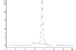 Size-exclusion chromatography-High Pressure Liquid Chromatography (SEC-HPLC) image for Ephrin A3 (EFNA3) (AA 23-213) protein (Fc Tag) (ABIN7274515)