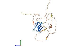 AlphaFold protein structure predicition of Mouse Recombinant Dazl Protein, UniprotID Q64368