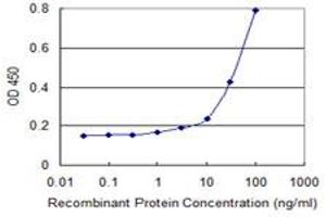 Detection limit for recombinant GST tagged ACP5 is 1 ng/ml as a capture antibody. (ACP5 抗体  (AA 72-158))