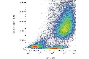 Flow cytometry analysis (surface staining) of IL-4 and GM-CSF stimulated human peripheral blood cells with anti-human CD1b (SN13) PE. (CD1b 抗体  (PE))