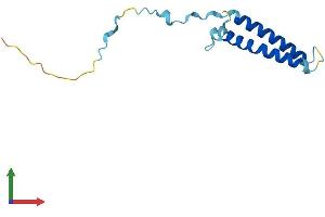 Protein Structure (PS) image for Chromosome 20 Open Reading Frame 30 (C20orf30) (AA 1-120) protein (His tag) (ABIN7559371)