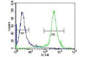 CAD antibody flow cytometric analysis of Jurkat cells (green) compared to a negative control (blue). (CAD 抗体  (AA 780-809))