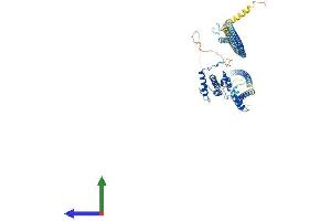 Protein Structure (PS) image for NDC80 Kinetochore Complex Component Homolog (NDC80) (AA 1-642) protein (His tag) (ABIN7554692)