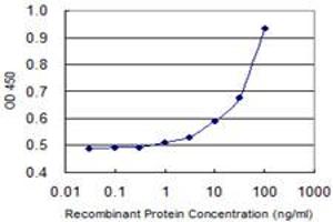 Detection limit for recombinant GST tagged GALNT14 is 3 ng/ml as a capture antibody. (GALNT14 抗体  (AA 494-551))