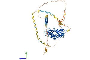 Protein Structure (PS) image for Ectodysplasin A (EDA) (AA 1-391) protein (His tag) (ABIN7562399)