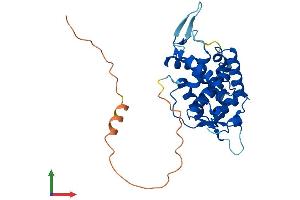 AlphaFold protein structure predicition of Human Recombinant GOLPH3 Protein, UniprotID Q9H4A6