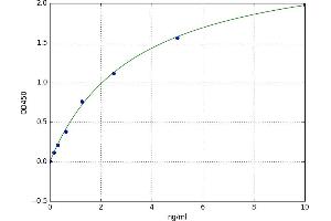 Ataxia Telangiectasia Mutated (ATM) ELISA Kit