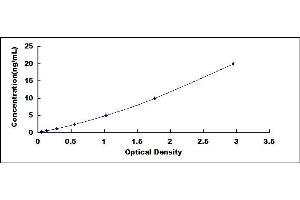 Typical standard curve (LRRC15 ELISA 试剂盒)