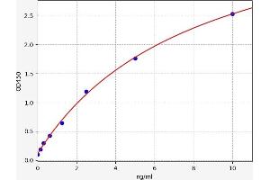 Typical standard curve (Sec23 Homolog B ELISA 试剂盒)