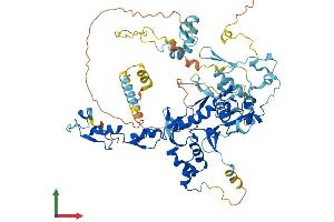 AlphaFold protein structure predicition of Mouse Recombinant Fbxo40 Protein, UniprotID P62932