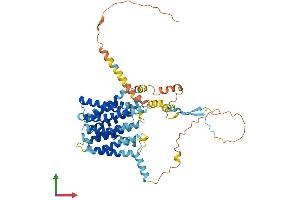 AlphaFold protein structure predicition of Human Recombinant SLC35F5 Protein, UniprotID Q8WV83