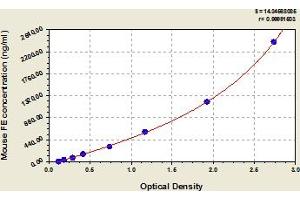 Ferritin (FE) ELISA Kit