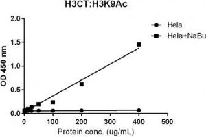 Sandwich ELISA against acetylated Histone H3 at Lys 9 using HeLa whole cell lysate, treated or untreated with sodium butyrate, using recombinant Histone H3 antibody (1ug/ml) as the capture and biotinylated anti-H3K9ac (RM161, 1ug/ml) as the detect. (Recombinant Histone 3 抗体  (C-Term, pan))