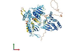 AlphaFold protein structure predicition of Human Recombinant ERCC3 Protein, UniprotID P19447
