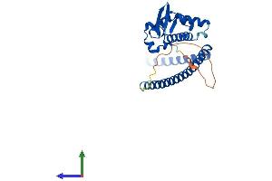 Protein Structure (PS) image for Spindle and Kinetochore Associated Complex Subunit 1 (SKA1) (AA 1-254) protein (His tag) (ABIN7560484)