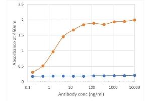 Binding curve of anti-CD27 antibody LG. (Recombinant CD27 抗体)