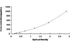 Typical standard curve (FGF3 ELISA 试剂盒)