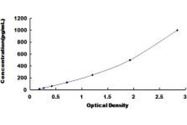 FGF3 ELISA 试剂盒