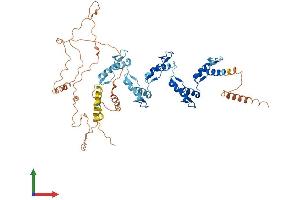 Protein Structure (PS) image for Zinc Finger Protein 677 (ZNF677) (AA 1-584) protein (His tag) (ABIN7545349)