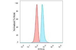 Flow Cytometric Analysis of PFA-fixed HeLa cells. (DMRT2 抗体)