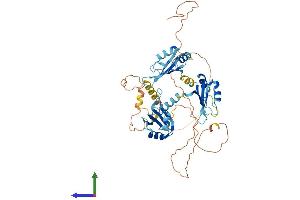 Protein Structure (PS) image for CUGBP, Elav-Like Family Member 2 (CELF2) (AA 1-508) protein (His tag) (ABIN7553412)