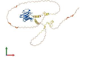 AlphaFold protein structure predicition of Human Recombinant LMNTD1 Protein, UniprotID Q8N9Z9