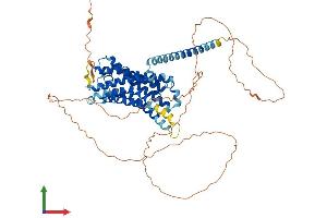 AlphaFold protein structure predicition of Mouse Recombinant Gpr50 Protein, UniprotID O88495