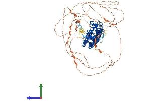 Protein Structure (PS) image for rho GTPase Activating Protein 17 (ARHGAP17) (AA 1-881) protein (His tag) (ABIN7555223)