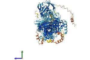 Protein Structure (PS) image for ATPase, Class I, Type 8A, Member 1 (ATP8A1) (AA 1-1164) protein (His tag) (ABIN7563534)
