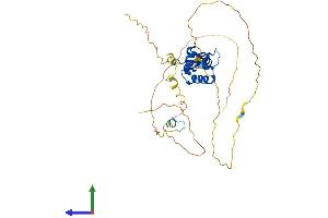 Protein Structure (PS) image for Forkhead Box A3 (FOXA3) (AA 1-353) protein (His tag) (ABIN7563181)