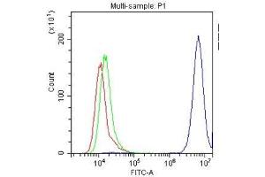 Flow Cytometry (FACS) image for anti-Basigin (Ok Blood Group) (BSG) (AA 138-323) antibody (ABIN5518743)