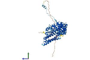 AlphaFold protein structure predicition of Human Recombinant INSC Protein, UniprotID Q1MX18