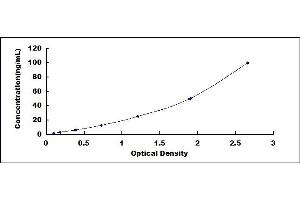 Typical standard curve (SFTPB ELISA 试剂盒)
