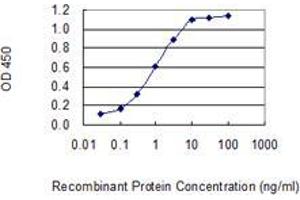 Detection limit for recombinant GST tagged OTOA is 0. (OTOA 抗体  (AA 27-124))