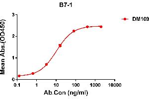 ELISA plate pre-coated by 2 μg/mL (100 μL/well) Human B7-1 protein, hFc tagged protein ABIN6961158, ABIN7042345 and ABIN7042346 can bind Rabbit anti-B7-1 monoclonal antibody  (clone: DM109) in a linear range of 0. (CD80 抗体  (AA 35-242))