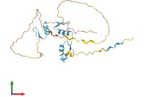 Protein Structure (PS) image for Kruppel-Like Factor 16 (KLF16) (AA 1-251) protein (His tag) (ABIN7556514)