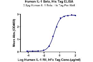 ELISA image for Interleukin 1, beta (IL1B) (AA 117-269) protein (His-Avi Tag) (ABIN7274882)