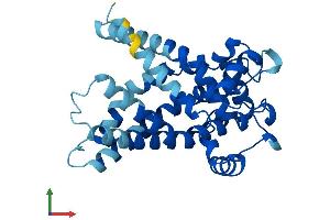 Protein Structure (PS) image for Solute Carrier Family 25 (Mitochondrial Carrier, Adenine Nucleotide Translocator), Member 5 (SLC25A5) (AA 1-298) protein (His tag) (ABIN7551955)