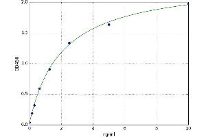A typical standard curve (HDAC2 ELISA 试剂盒)