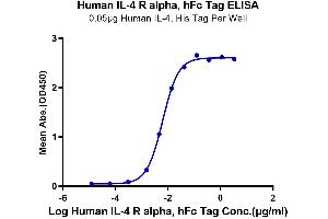 Immobilized Human IL-4, His Tag at 0. (IL4 Receptor Protein (AA 24-232) (Fc Tag))