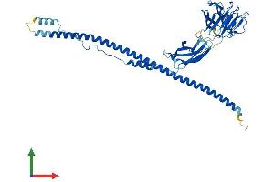Protein Structure (PS) image for Cytokine Receptor-Like Factor 3 (CRLF3) (AA 1-442) protein (His tag) (ABIN7556438)