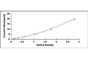 Typical standard curve (Cathepsin B ELISA 试剂盒)