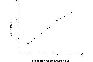 IBSP ELISA 试剂盒