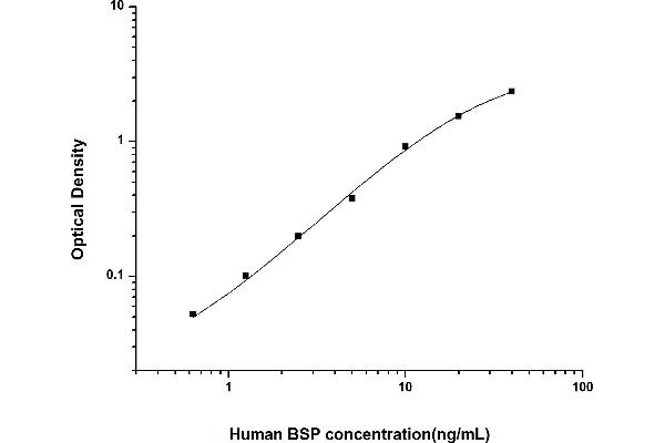 IBSP ELISA 试剂盒