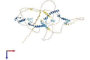 PHACTR3 Protein (AA 1-558) (His tag)