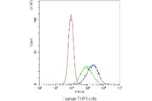 Flow cytometry testing of human THP1 cells with DC-SIGN antibody at 1ug/10^6 cells (blocked with goat sera) (DC-SIGN/CD209 抗体)