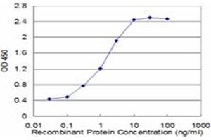 Detection limit for recombinant GST tagged TNKS is approximately 0. (TNKS 抗体  (AA 1017-1124))