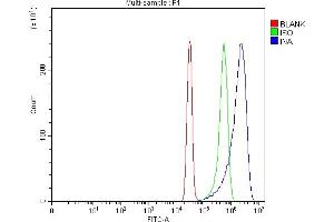 Flow Cytometry analysis of SiHa cells using anti-Alpha Internexin antibody (ABIN4886634).