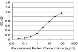 Detection limit for recombinant GST tagged PDK3 is approximately 0. (PDK3 抗体  (AA 174-263))